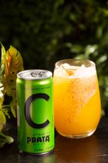 Citrus Lata 269ml | Águas Prata